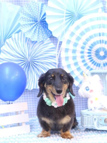 20231109モカちゃん